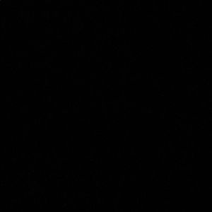 Meet your Posher, Antonio